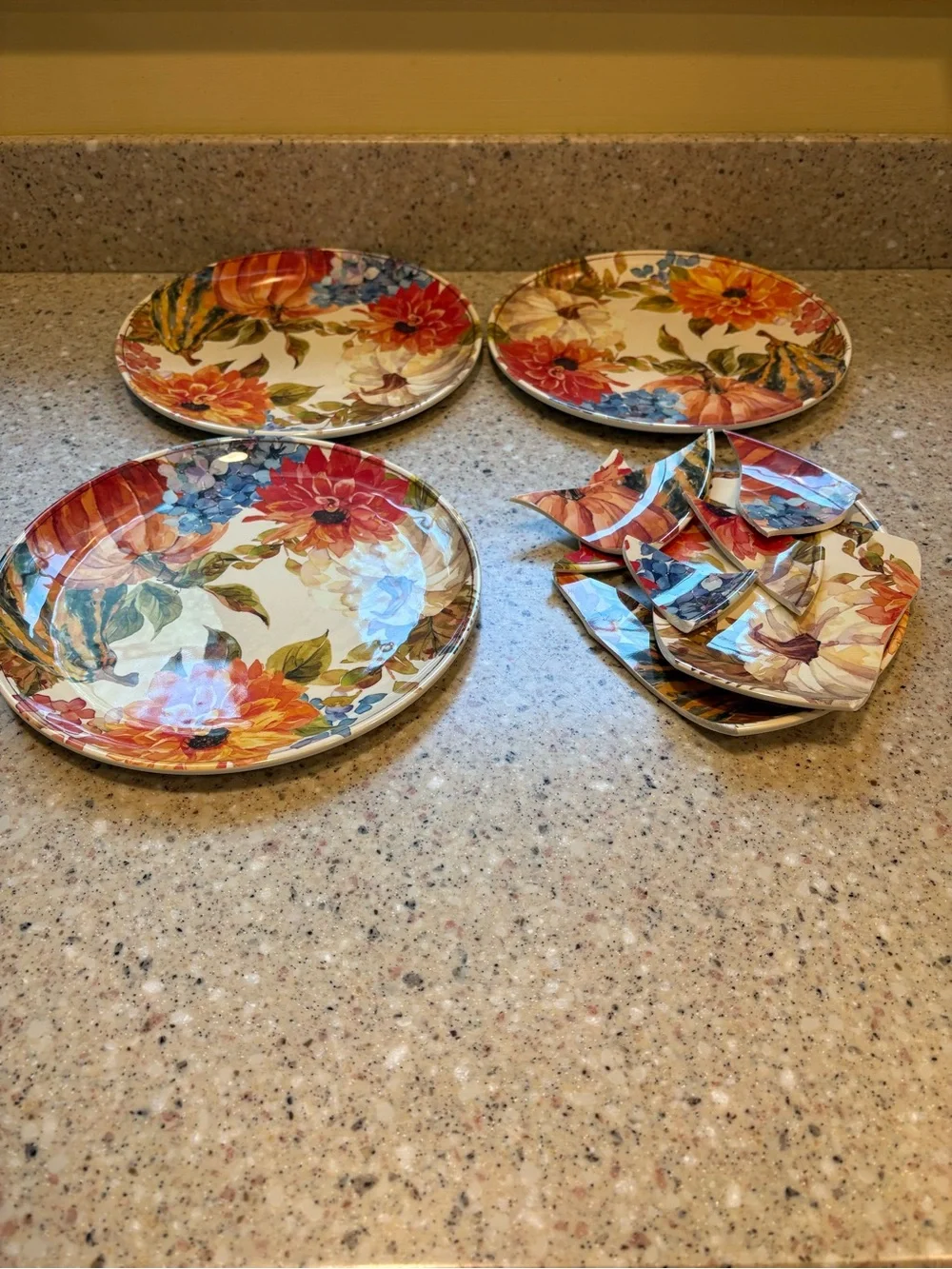 Member’s Mark Harvest Melamine Dinnerware, **Originally 4 Place Setting**